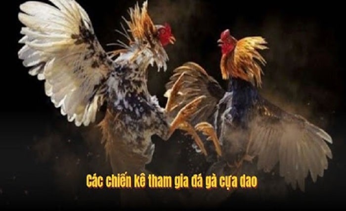 Cockfighting